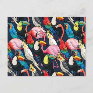 Exotic birds postcard