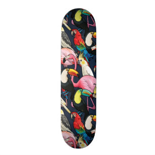 Exotic birds skateboard