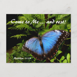 Exotic blue butterfly b) postcard