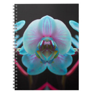 Exotic Blue Orchid Reflection Notebook