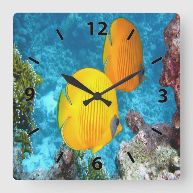 Exotic Butterfly Fish Square Wall Clock (Front)