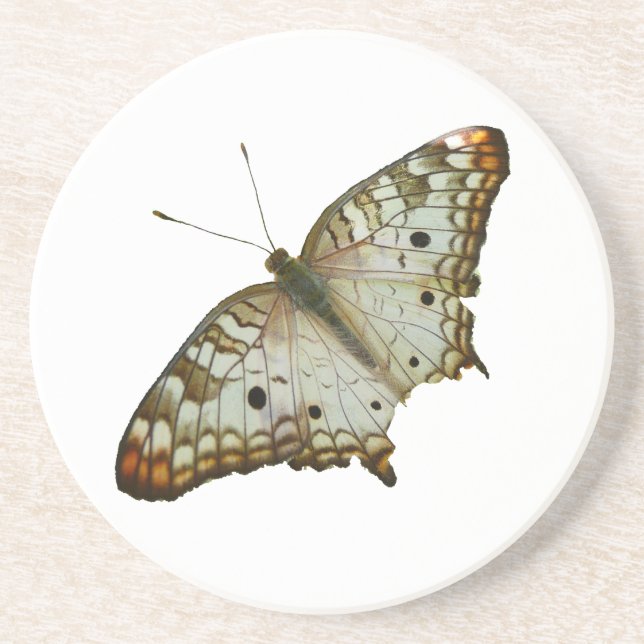 Exotic Butterfly from St. Lucia Coaster (Front)