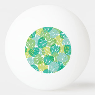 Exotic Cheese Plant: Tropical Monstera Ping Pong Ball