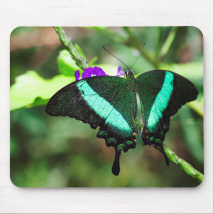 Exotic Emerald Swallowtail Mouse Pad