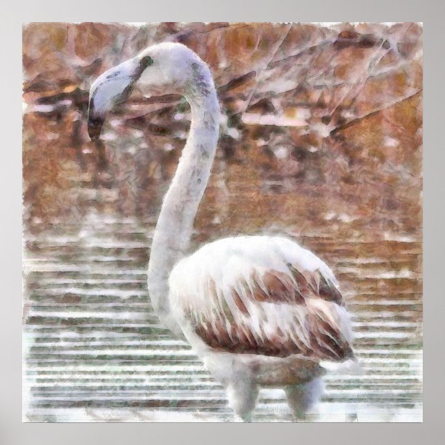 Exotic Flamingo Watercolor Poster (Front)