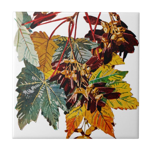 Exotic Flora #3 at SunshineDazzle Tile (Front)