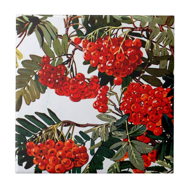 Exotic Flora #5 at SunshineDazzle Ceramic Tile (Front)