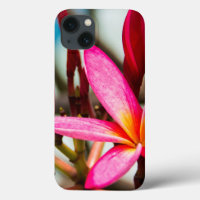 Exotic flower background plumeria blooms