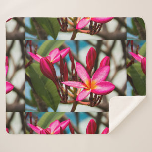 Exotic flower background plumeria blooms sherpa blanket