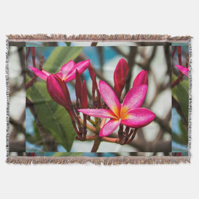 Exotic flower background plumeria blooms throw blanket (Front)