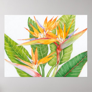Exotic Flowers Watercolor Poster
