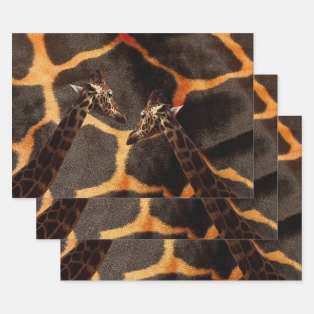 "Exotic Giraffes: On a Giraffe Patterned Canvas" Wrapping Paper Sheet (Set)