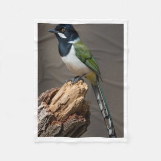 Exotic Green Jay Bird Wildlife Fleece Baby Blanket
