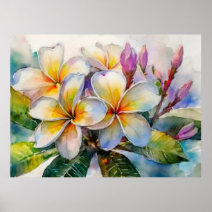 Exotic Hawaiian Plumeria Tree Poster