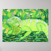 Exotic Iguana