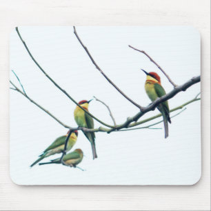 Exotic Indian kerala Bee-Eater Birds on Branch Mouse Pad
