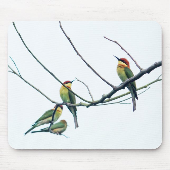Exotic Indian kerala Bee-Eater Birds on Branch Mouse Pad (Front)