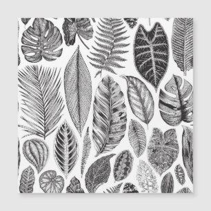 Exotic leaves, vintage floral black and white.