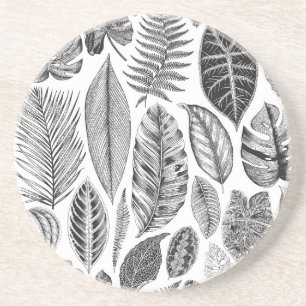 Exotic leaves, vintage floral black and white. coaster