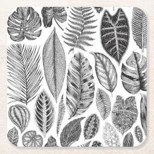 Exotic leaves, vintage floral black and white. square paper coaster