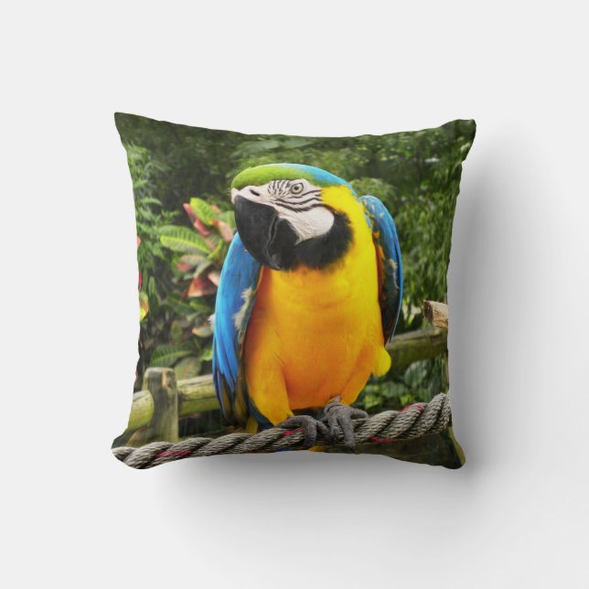 Exotic Macaw Parrot Cushion (Front)