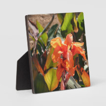 Exotic orange flower