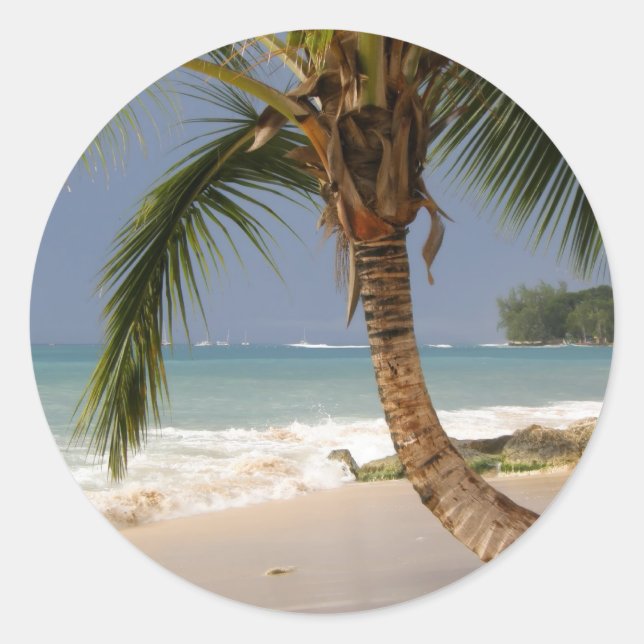 exotic palm tree on beach classic round sticker (Front)
