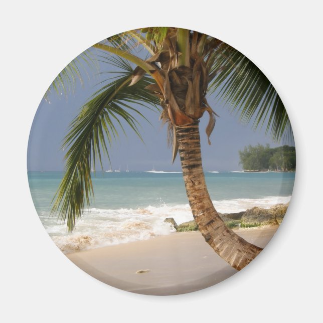 exotic palm tree on beach magnet (Front)