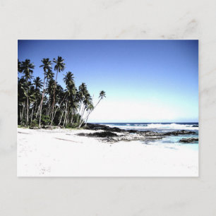 Exotic Palm Trees & Paradise Beach Postcard