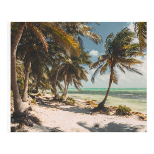 Exotic Palm Trees Turquoise Sea White Sand Beach Photo Print