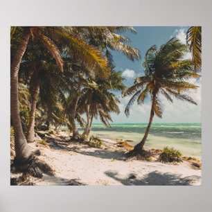 Exotic Palm Trees Turquoise Sea White Sand Beach Poster