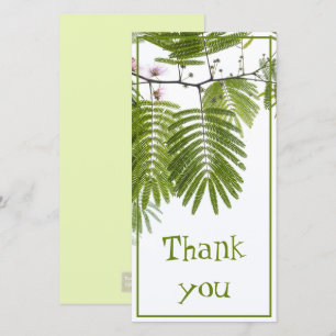 Exotic Persian Silk Tree foliage Thank You Card