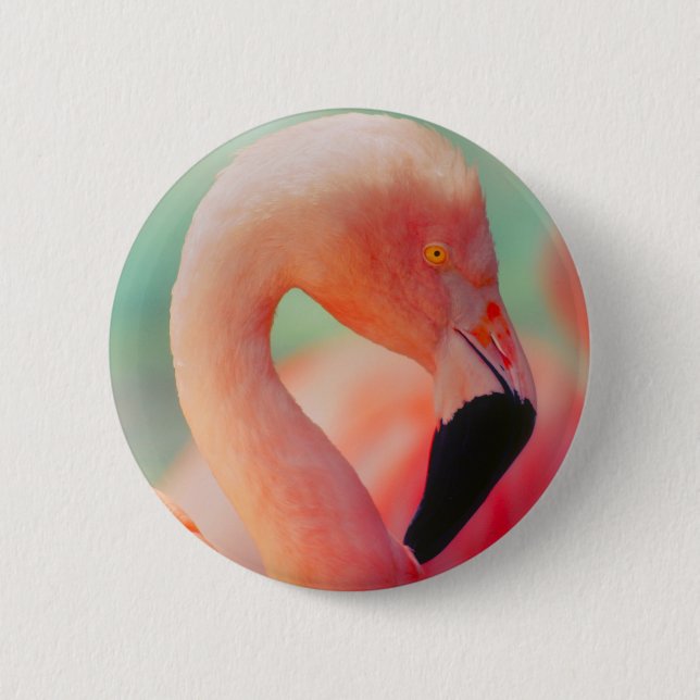 Exotic Pink Flamingo Bird Button (Front)
