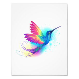 Exotic Rainbow Hummingbird Photo Print