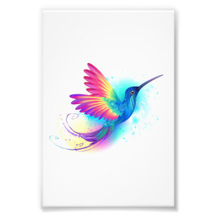 Exotic Rainbow Hummingbird Photo Print