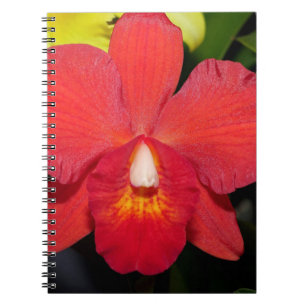 Exotic Red Orchid Notebook