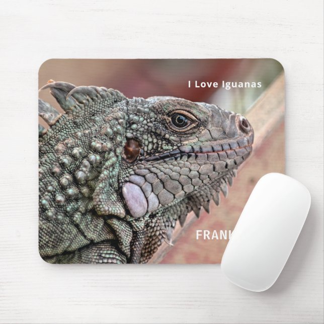 Exotic Reptile Mouse Pad (With Mouse)