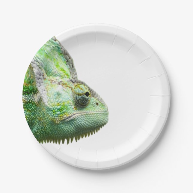 Exotic Reptile Paper Plate (Front)