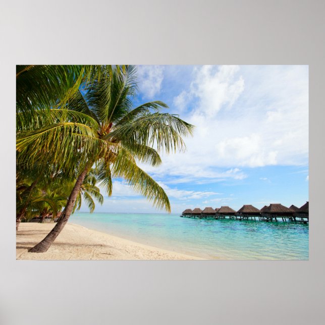 Exotic resort poster (Front)