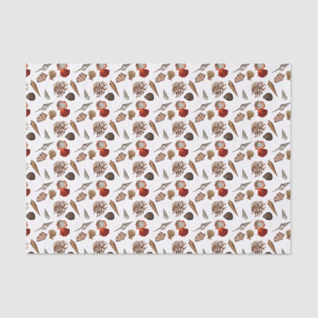 Exotic Seashell Beach Theme Tissue Paper (Front)
