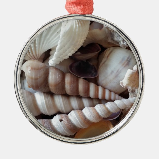 Exotic Seashells Collection, Summer Beach Metal Ornament (Front)