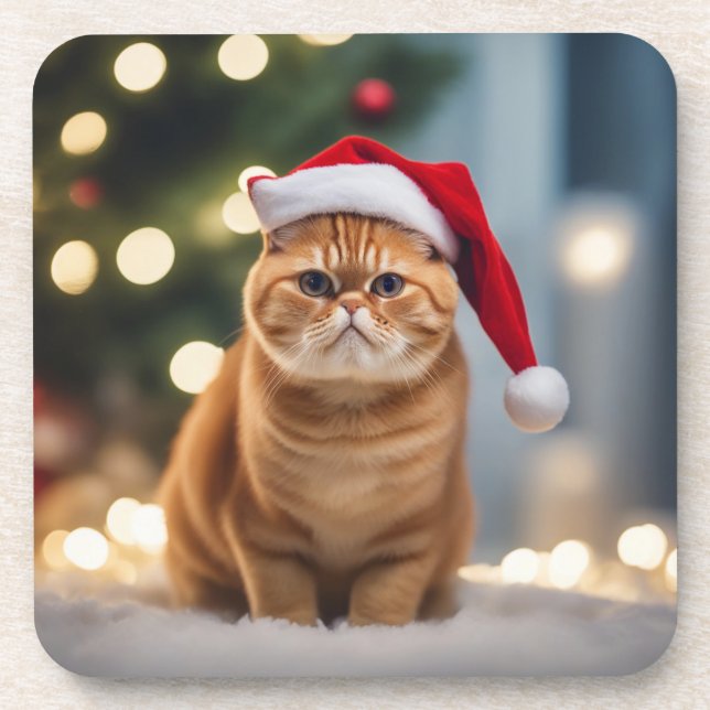 Exotic Shorthair Christmas Coaster (Front)