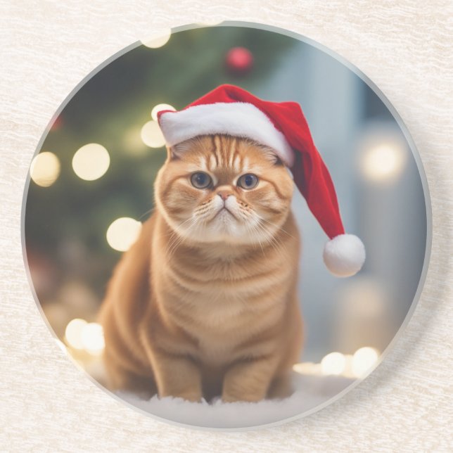 Exotic Shorthair Christmas Coaster (Front)