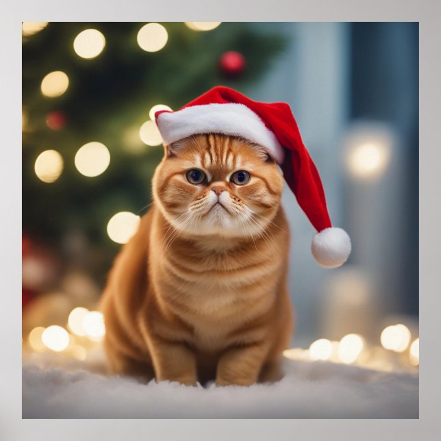 Exotic Shorthair Christmas Poster (Front)