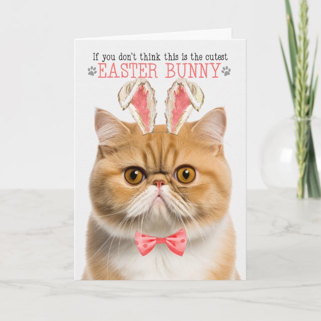 Exotic Shorthair Orange Cat Bunny Ears for Easter Holiday Card (Front)