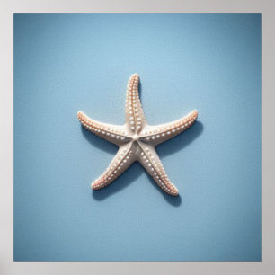 Exotic Starfish with Blue Blackground Poster