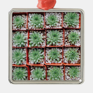 Exotic Succulent Plants Metal Ornament