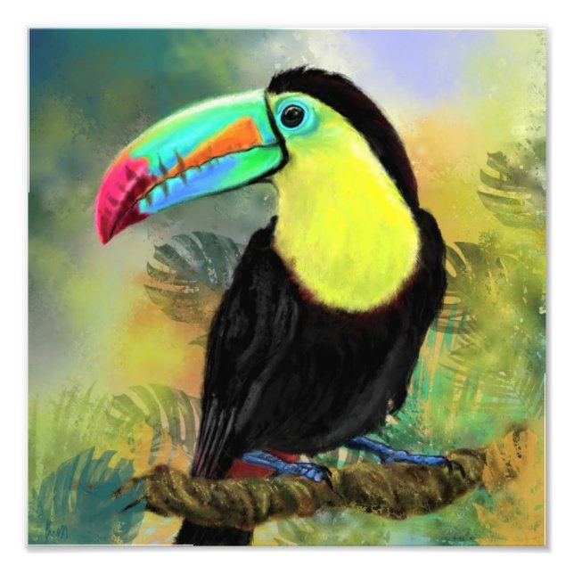 Exotic Toco Toucan Bird Poster Print - Painting (Front)