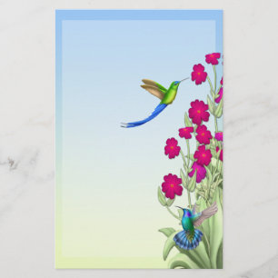 Exotic Tropical Hummingbirds Stationary Stationery