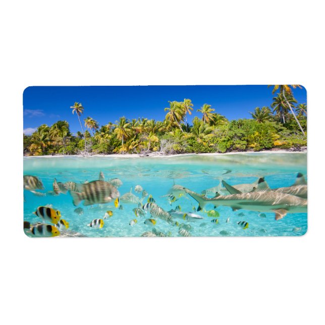 Exotic vacations (Front)